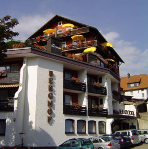 Гостиница Panoramahotel Berghof, Байрсброн